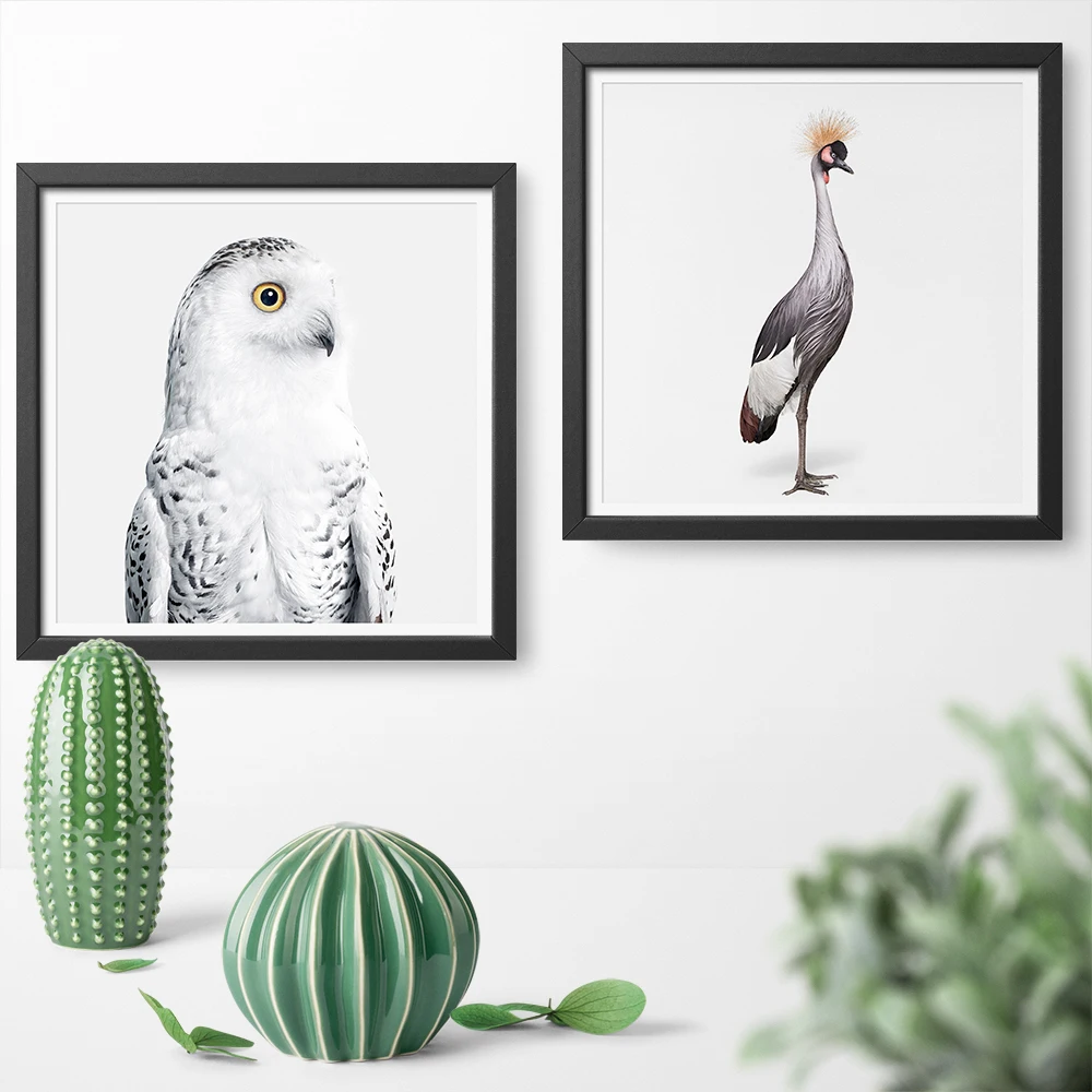 

HD Printed African Crane and Pure Snowy Owl Canvas Painting Wildlife Animal Canvas Art Print Poster Sticker Wall Art Home Deocr
