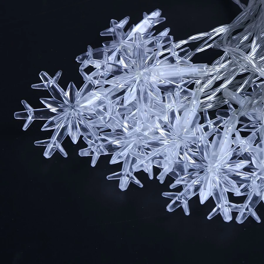 3630619258_1559958249