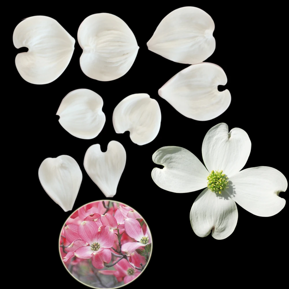Dogwood Petals Silicone Molds