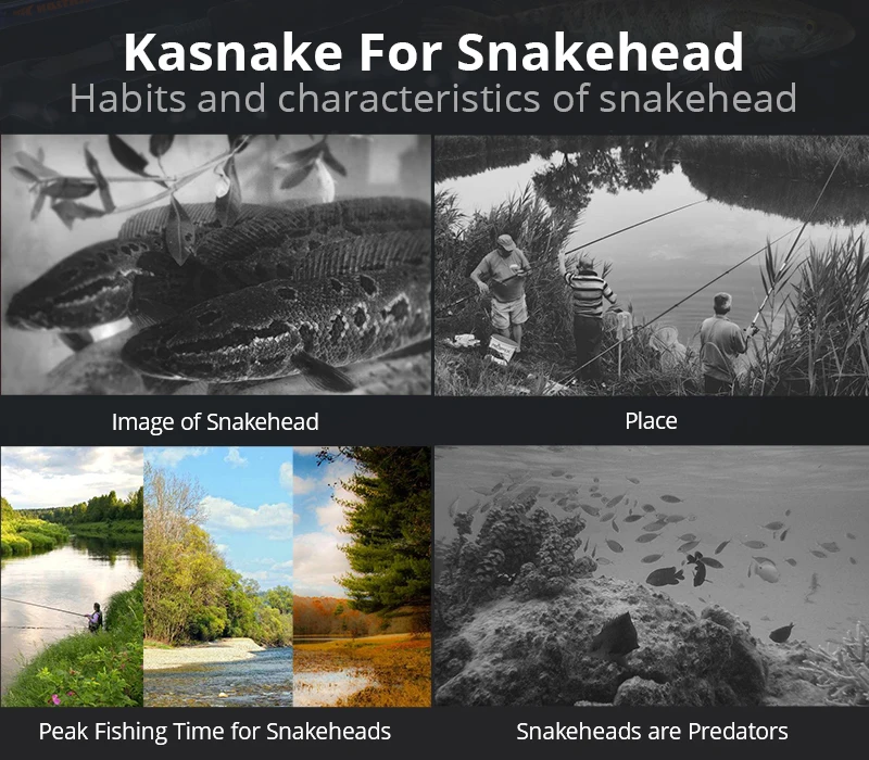 1 Kasnake Rod 1000x1000