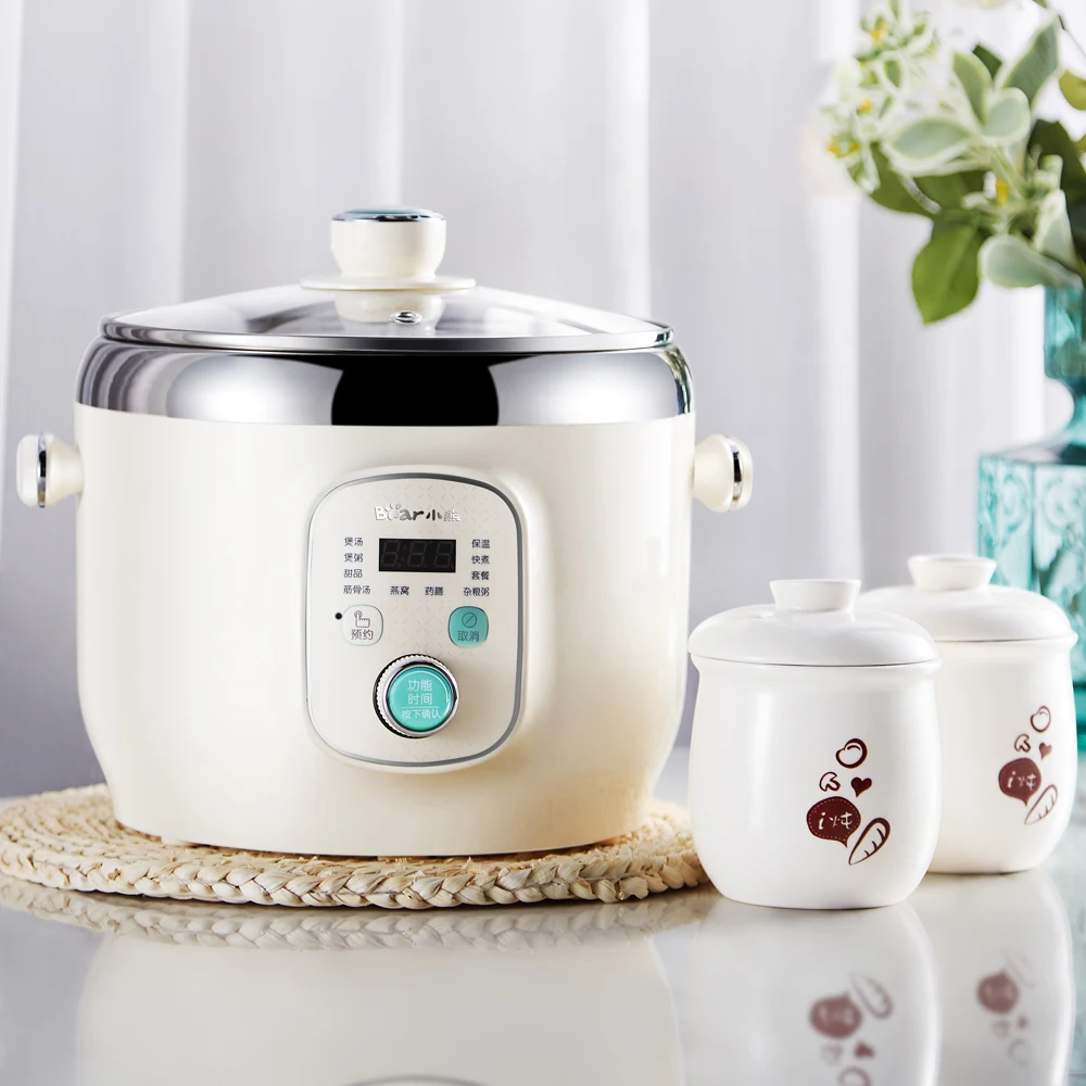 Stainless Steel Inner 220V Automatic Electric