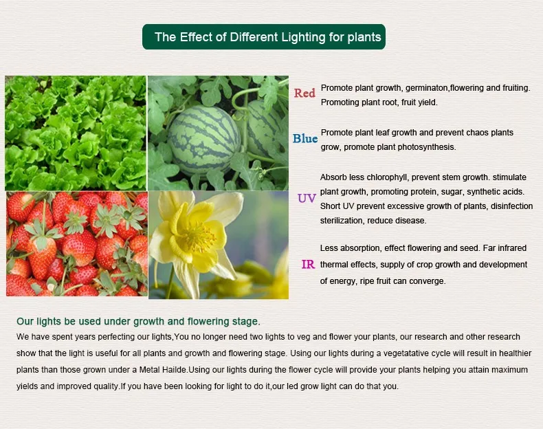 120W LED Plant Grow Light Flower Vege (end 1/6/2022 315 PM)