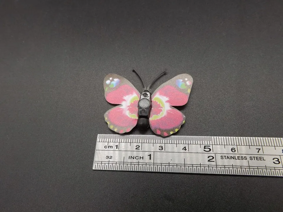 I250-Butterfly (13)