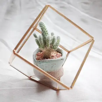 

Geometric Micro Landscape Plant Glass House Small Flower Room Transparent Glass House Innovative Home Wedding Ring Box Decor