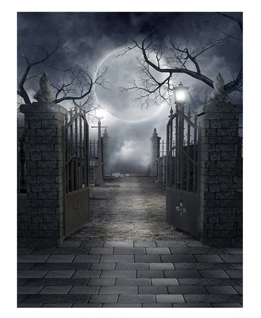 

Halloween Party Background Decor Halloween Castle Photography Backdrop Night Town Moon Scary Halloween Party Background HL56