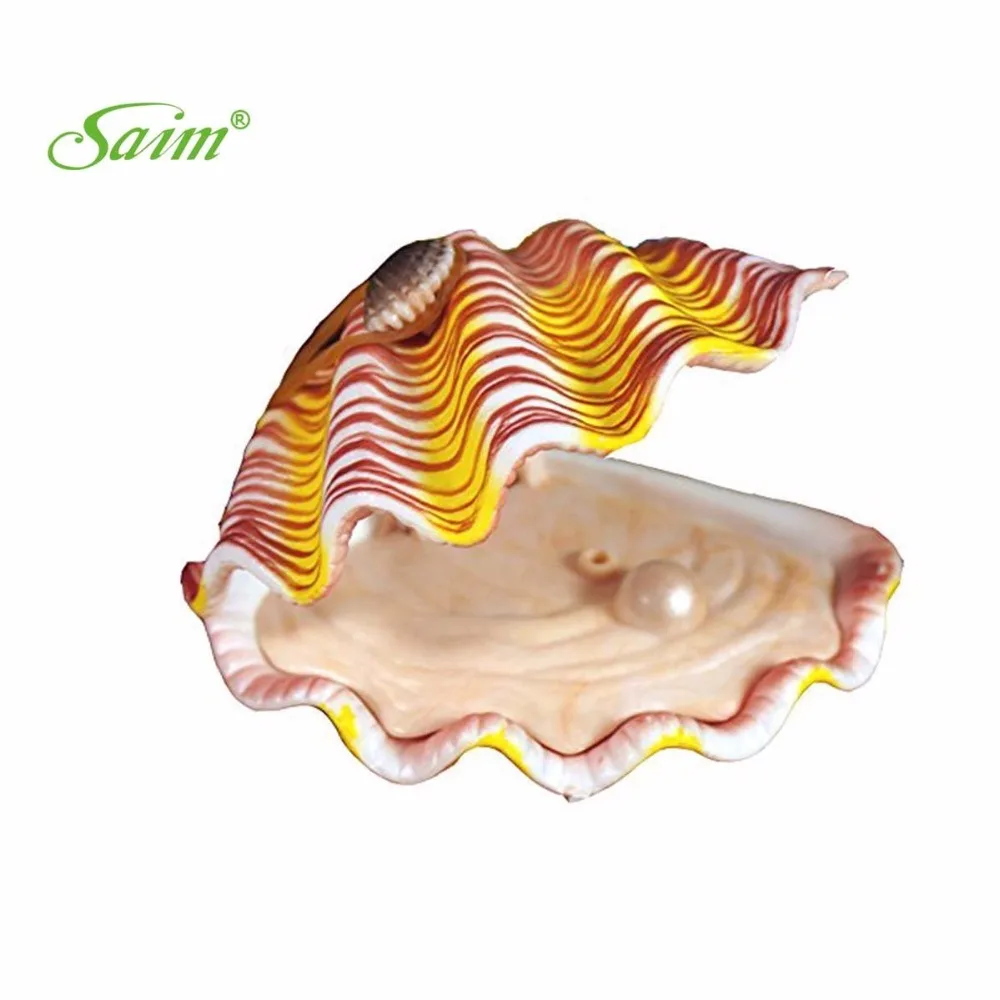 Buy Saim Aquarium Tropical Clam Live Action Aerating