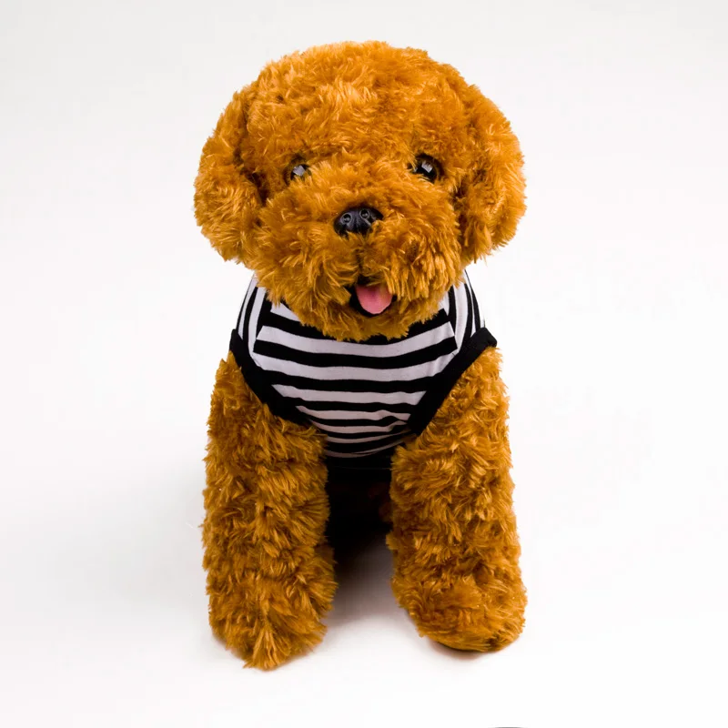 03 dog clothes 