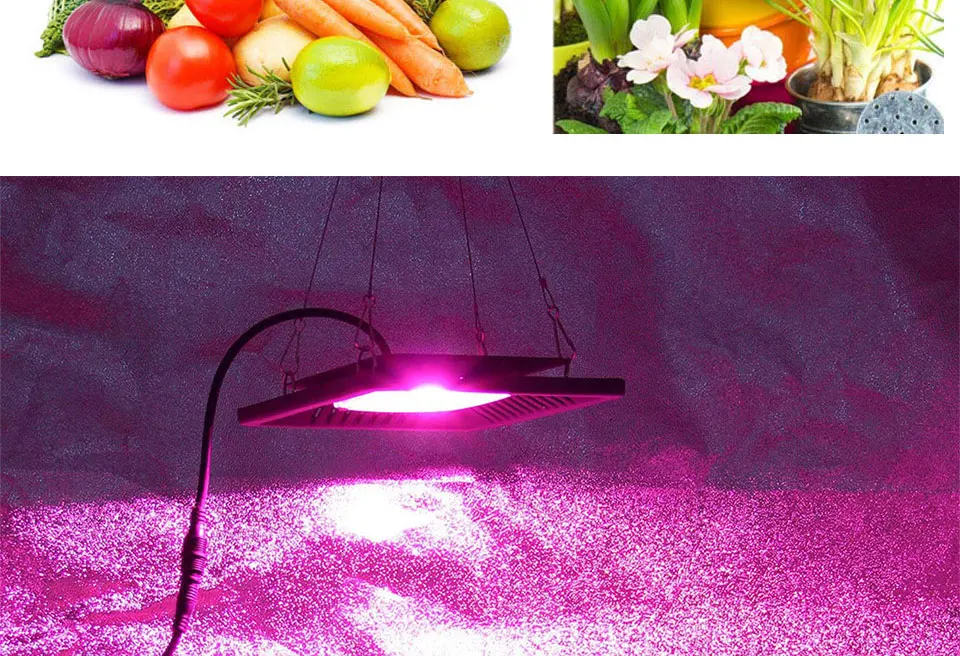AC 110V 220V Driverless COB Plant Growing Lamp 20W 30W 50W Full Specturm Smart IC COB Chip LED Plant Grow Light Feeding Bulbs (22)