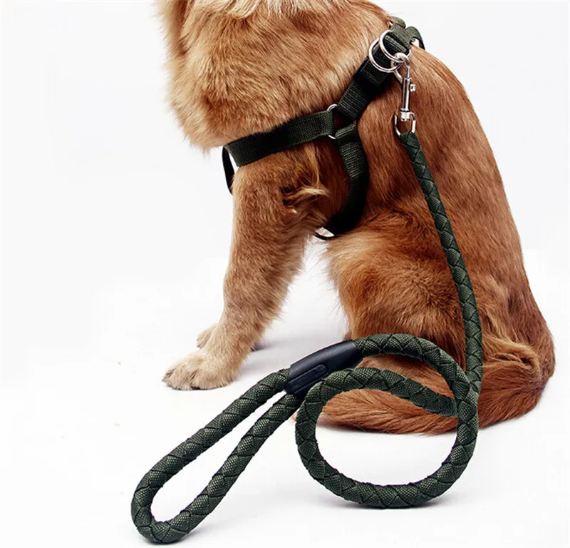 Rope Dog Leads Pets At Home Rope Dog Leads Pets At Home