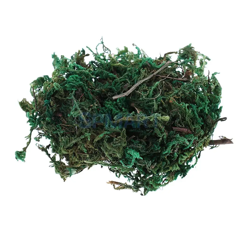 100ML/500ML Dry Grass Model Moss for Layout Terrain Vegetation Diorama Building Toy