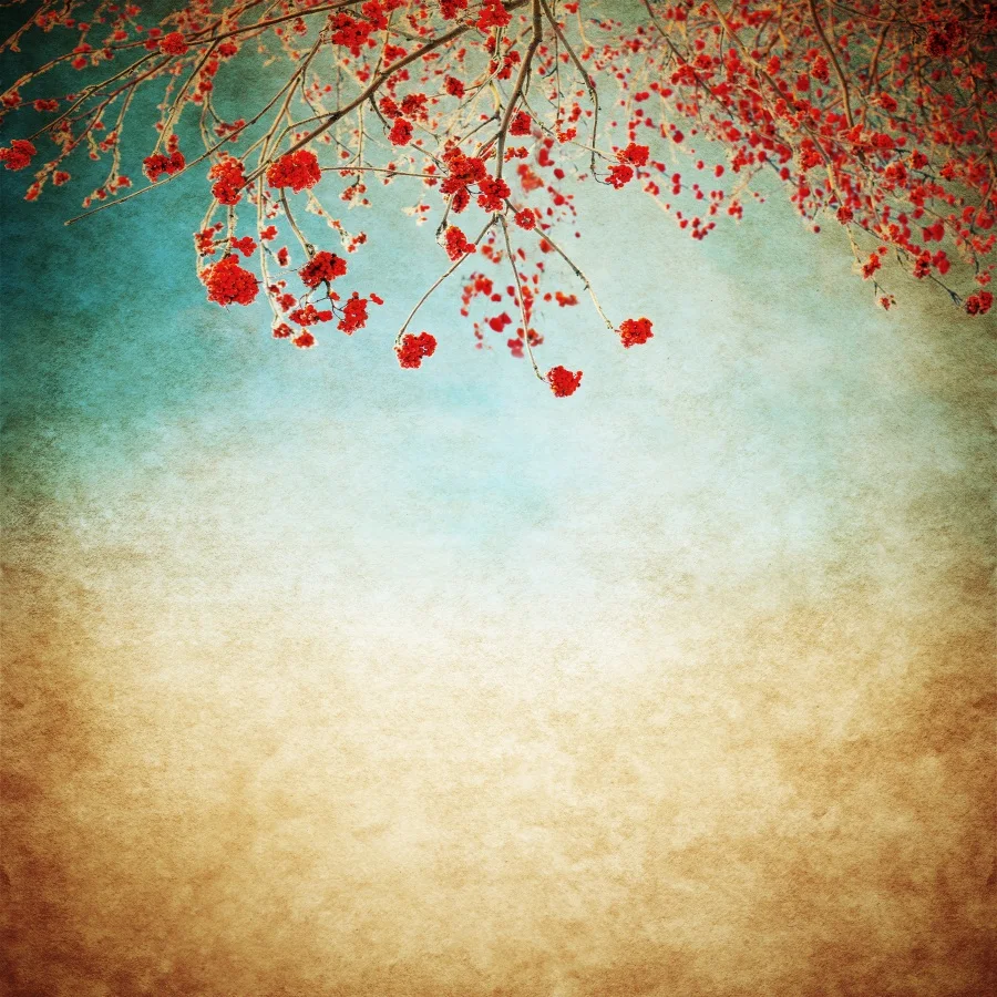 

Laeacco Gradient Color Blooming Flowers Painting Baby Photography Backgrounds Customized Photographic Backdrops For Photo Studio