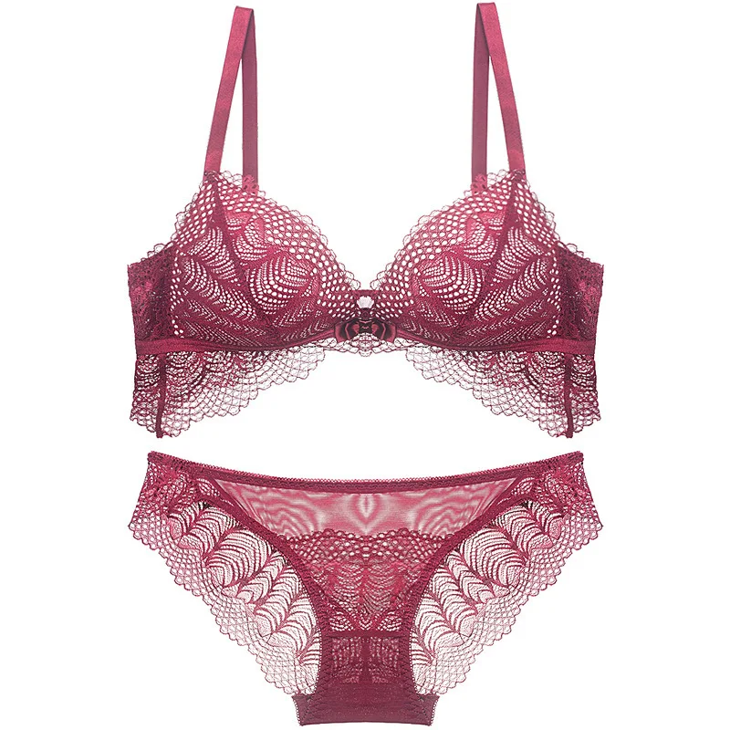 bra sexy lace27