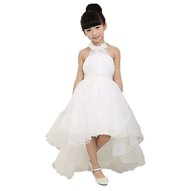 VS0773A (17)