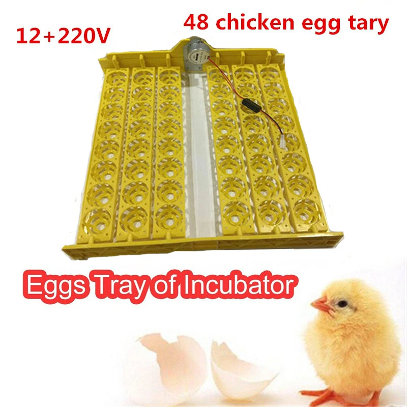 

12V Motor Turn The Eggs Tray Automatic Incubator Egg Turning Motor For big sale