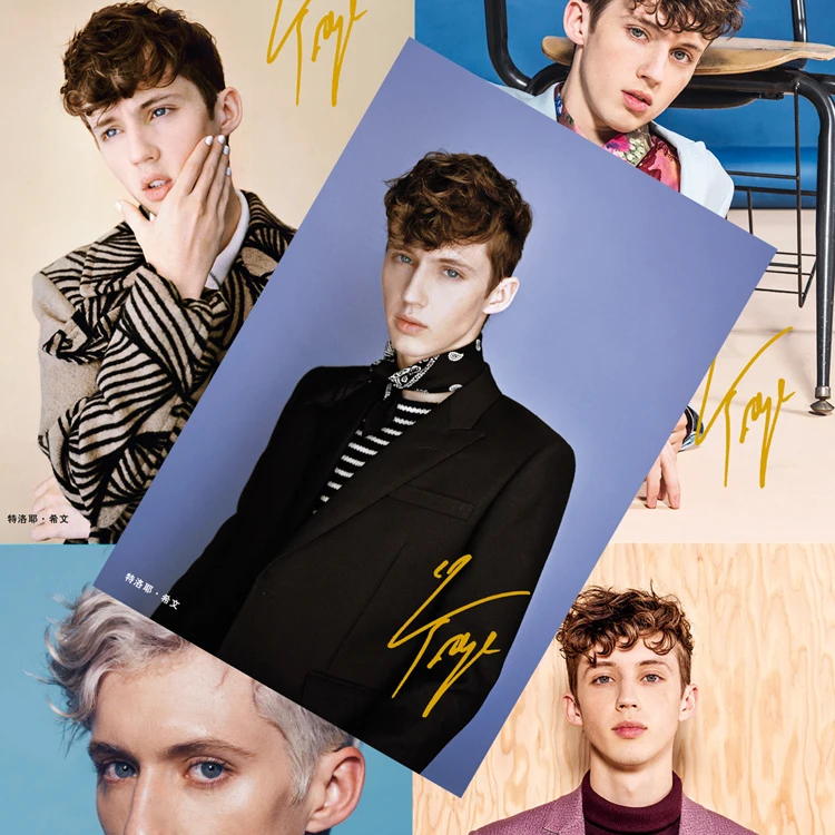 

8*(42x29cm)NEW Troye Sivan Posters Wall Stickers Gift Troye Sivan around posters