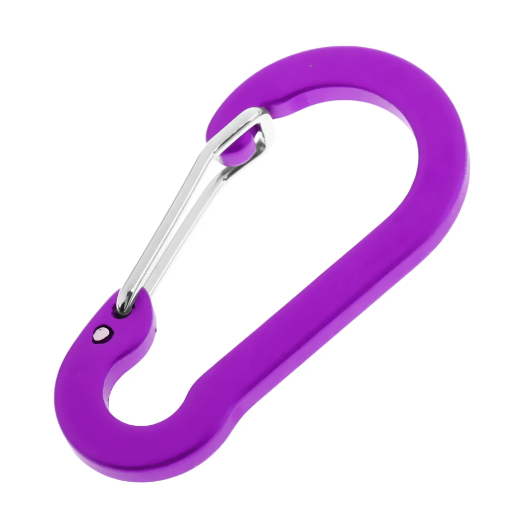 6 Pieces Aluminum D-Ring Carabiner Clip Spring Snap Hook Keychain