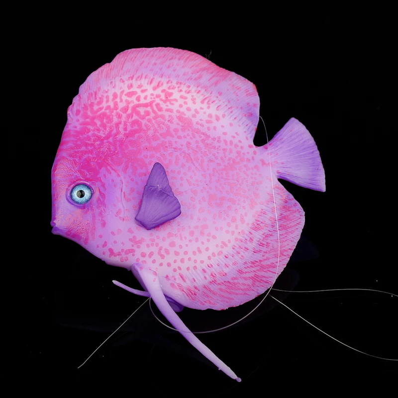 Fish Tanks are becoming a growing fashion trend in home decor. From aquarium accessories to large fish tanks, this blog covers it all.