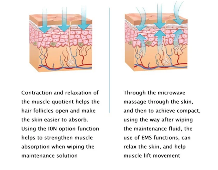 Multifunctional microcurrent face lift machine EMS BIO RF Anti-aging wrinkles wrinkles removal facial skin care machine
