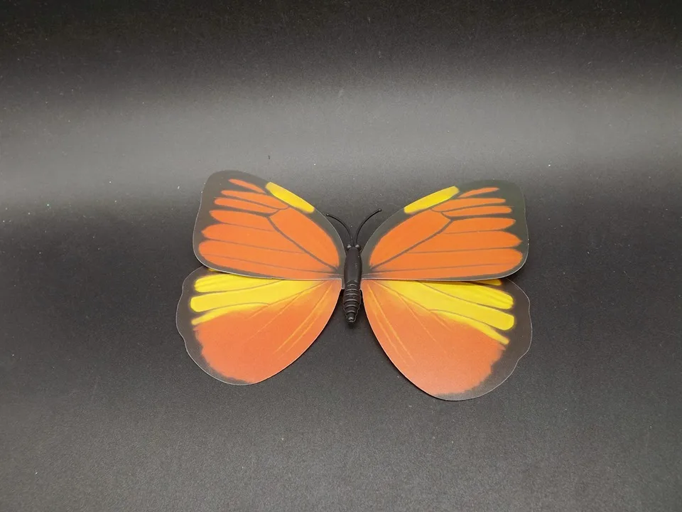 I229-Butterfly (5)