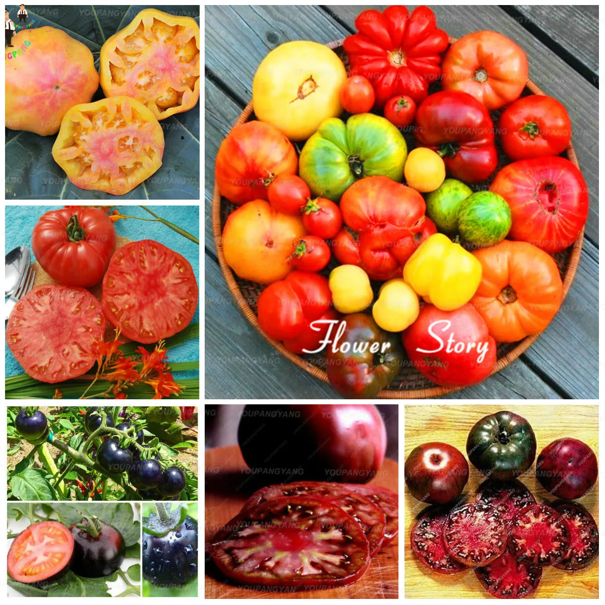 

200pcs Vegetable bonsai Growing plants Vegetables bonsai Of Tomato bonsai plantas for home & garden