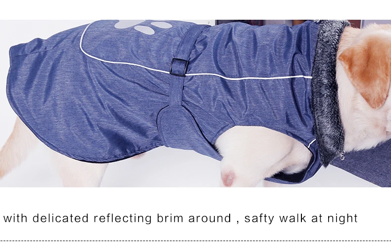 Dog Jacket Waterproof  (39)