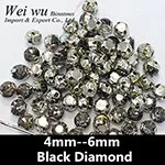 Rhinestones in claw Black Diamond 3