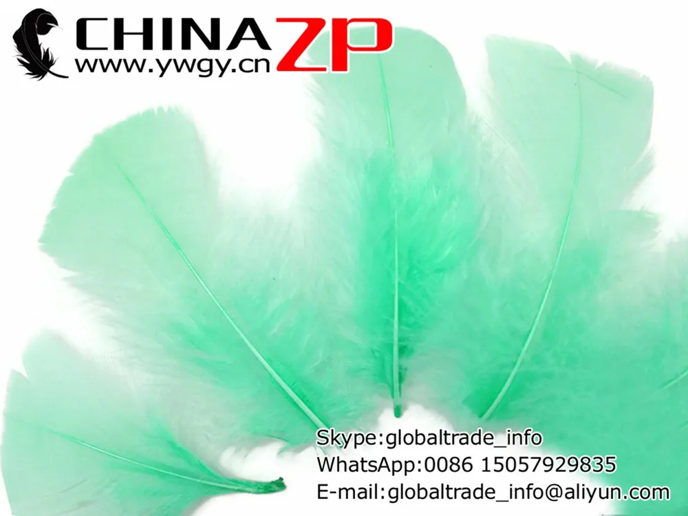 Tiffany Blue Feathers, 1 Pack - AQUA Turkey T-Base Plumage Feathers