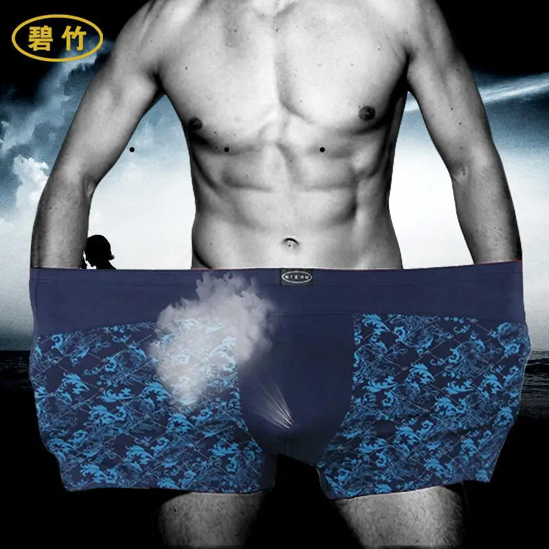 Free Shipping Plus size men's underwear wholesale printed modal