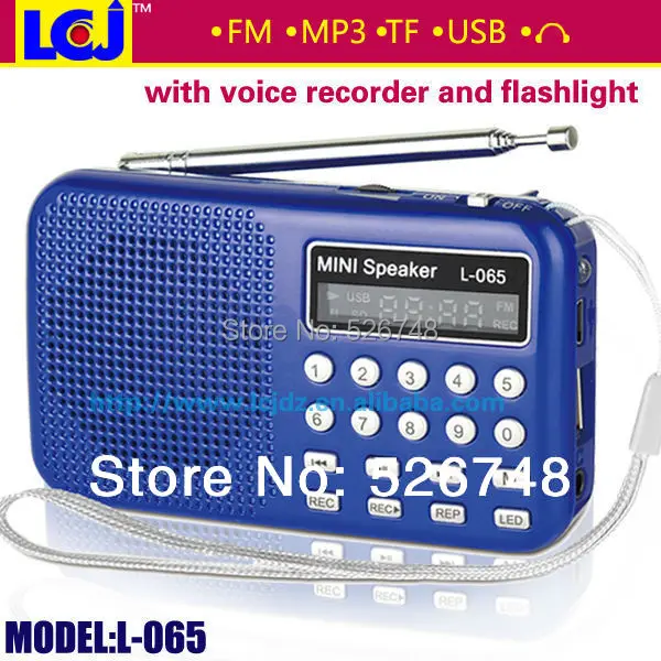 Buy Free shipping L 065 multifunctional digital voice