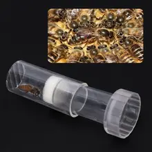 Пчелиная матка маркировочная бутылка маркер пчеловодства оборудование инструменты для пчеловодства пчелы apculture пластиковые бутылки