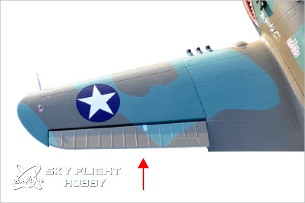 p40 c-13