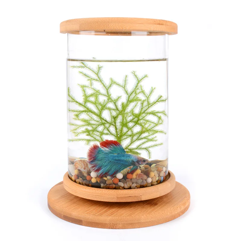 Стеклянная аквариумная бамбуковая основа Betta 1 шт. Миниатюрные аксессуары для