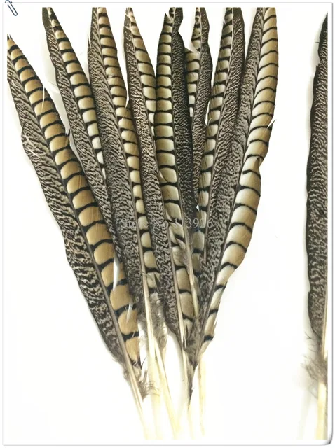 100PCS/lot Natural Pheasant Feather 50 55cm 20 22inch long Venery ...