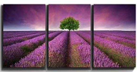 

3 panels Modern Lavender Flowers Canvas Painting on Canvas Wall Art Modular Pictures Home Decor for Living Room