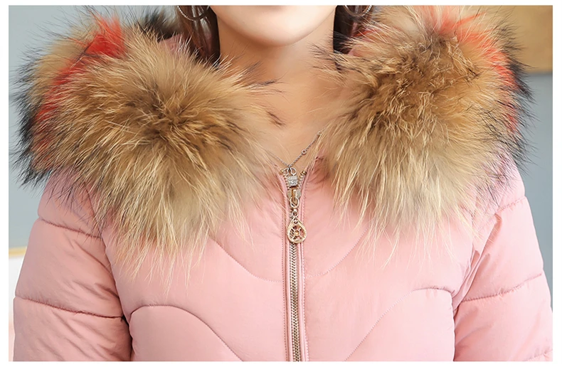 Women Winter Long Jacket Fake Fur Collar Hooded Parka Padded Coat Women 2018 Korean Thick Warm Slim Coats Jackets Female CH695 (12)