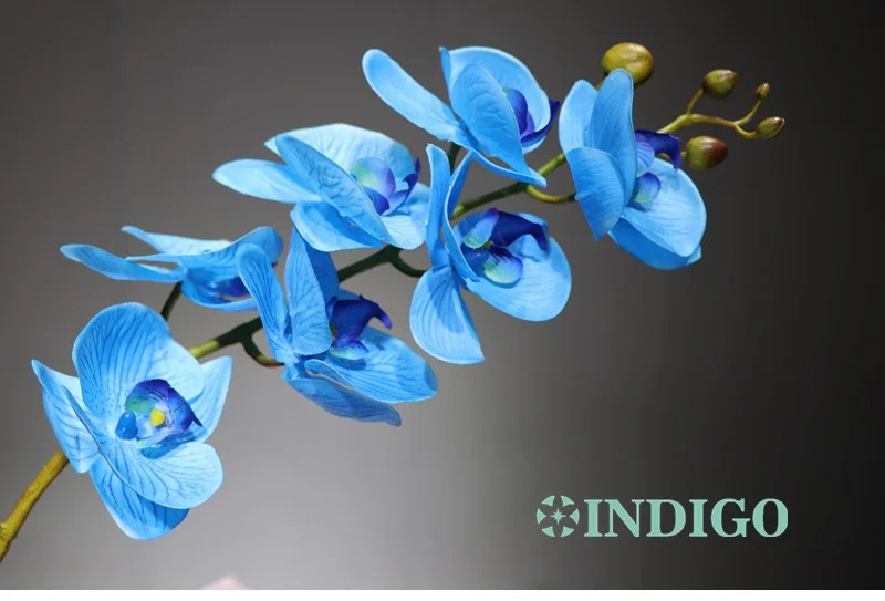1 stem blue 90 см фаленопсис Орхидея шелк настоящий сенсорный цветок искусственный цветок для свадьбы цветок орхидеи Цветочные Рождественская вечеринка - Цвет: 1 stem blue