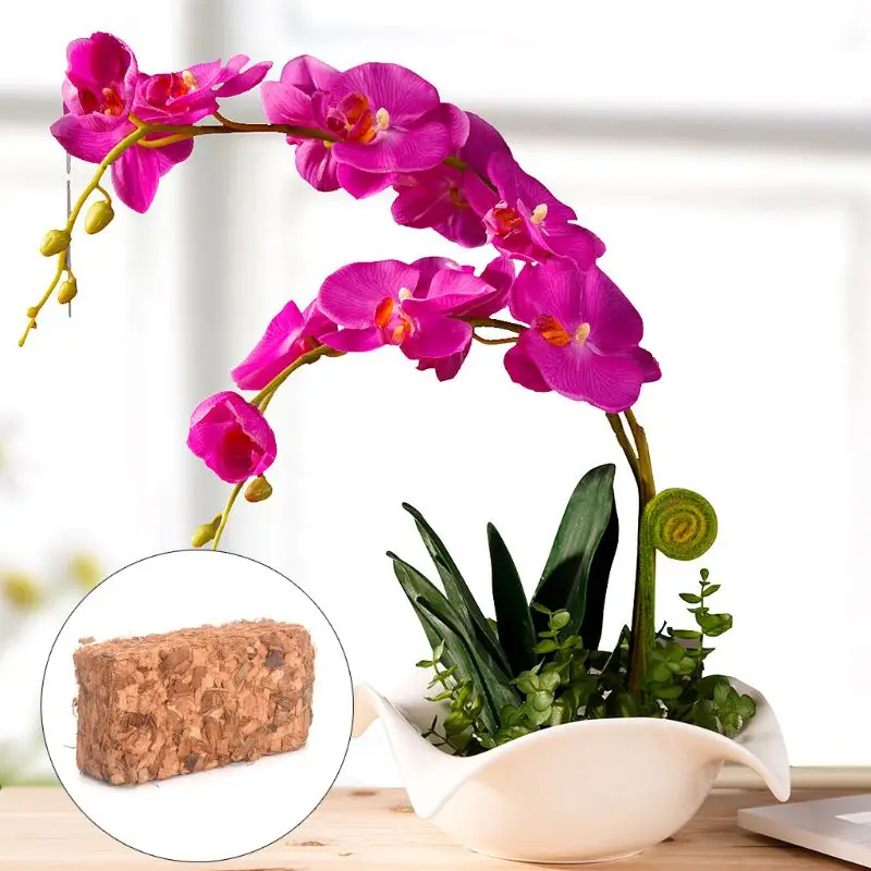 

500g Coconut Coir Brick Peat Growing Organic Soilless Potting Garden Natural Plants Soil Nutrient Bed