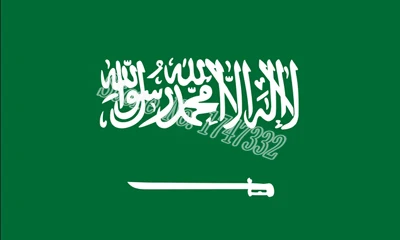 Saudi-Arabia-Asia-National-Flag-All-Over-The-World-hot-sell-goods-3X5FT-150X90CM-Banner-brass.jpg_640x640.jpg