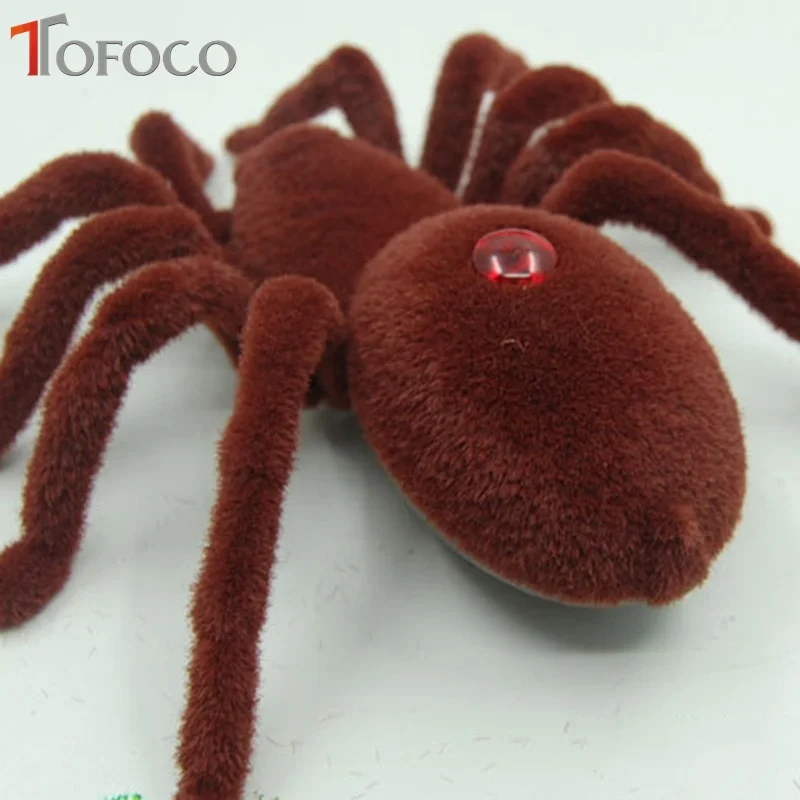 tfl027spider05