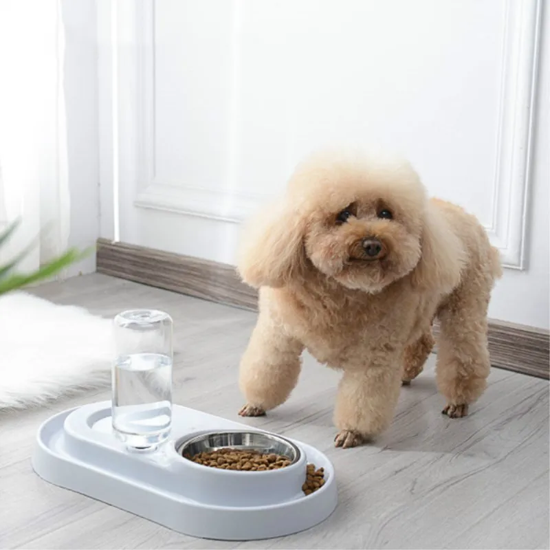 

Anti-leak-proof Moxibustion Pet Double Bowl Cat Dog Automatic Drink Bowl Multi-function 304 Stainless Steel Dog Bowl For Cats
