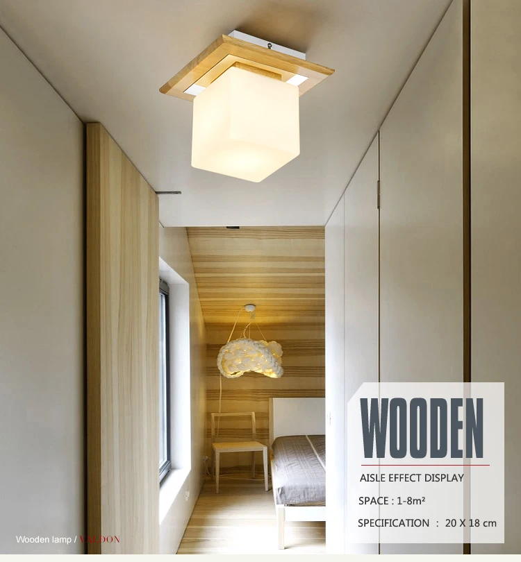 Ceiling Light Fixtures (2)