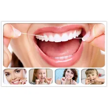 1 PC 15 metre Portable High quality dental flosser Mint flavored Dental Floss for Teeth Cleaning Oral Care keychain Style Z4