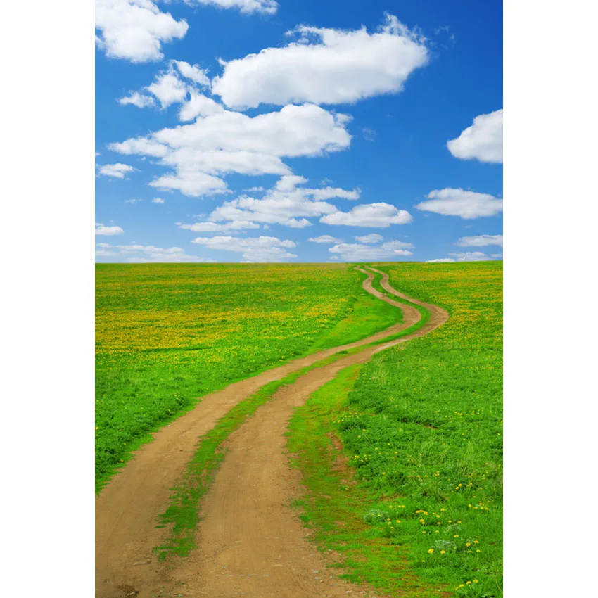 

Customized 3 D scenic field photo background for portrait photography studio backdrop