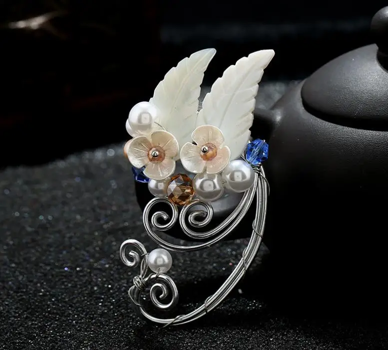 ear clip (10)