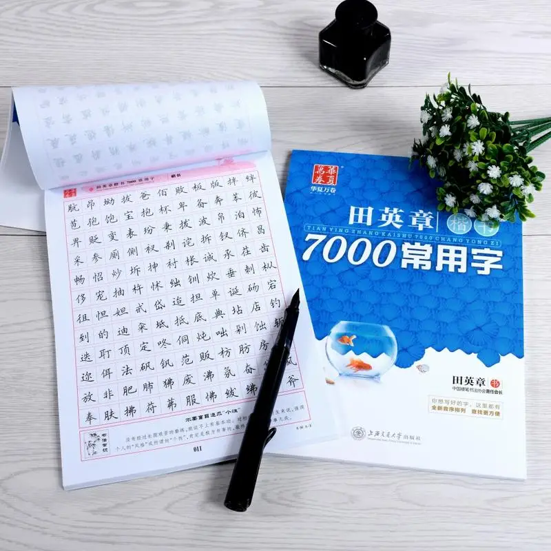 7000 Common Chinese Characters Copybook Chinese Pen Calligraphy Copybook Regular Script 3