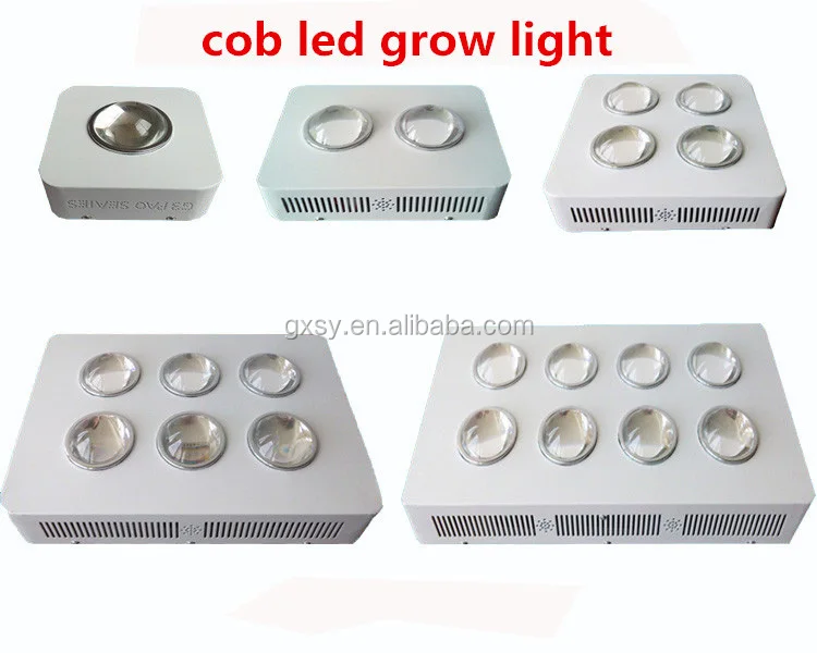 cob (1)