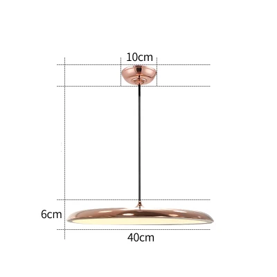 Современный подвесной светильник, датский художественный металлический светодиодный подвесной светильник для гостиной, подвесной светильник для кухни, подвесной светильник, скандинавский светильник - Цвет корпуса: rose gold 400mm