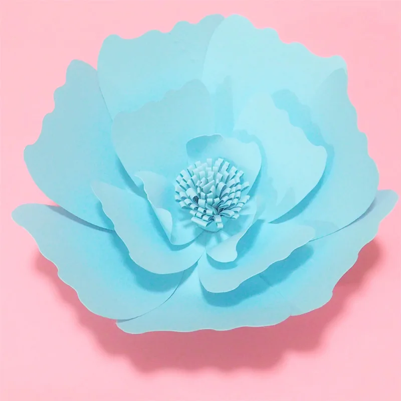P4302603