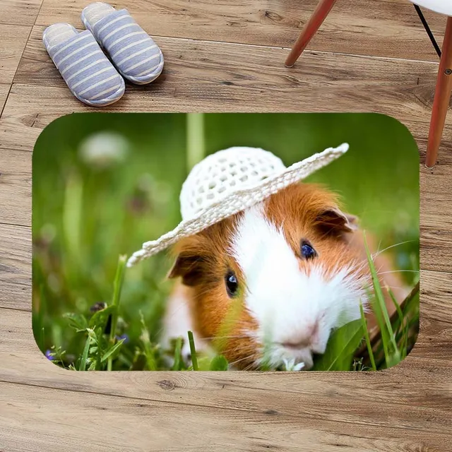 Guinea Pig Coral Fleece Indoor Doormat Non slip Bathroom Floor Mat