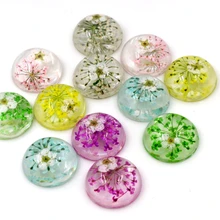 Новая мода 10 шт. подходят 20 мм синий белый желтый зеленый розовый фиолетовый Натуральные Сушеные Хризантемы цветы Кабошоны Камея